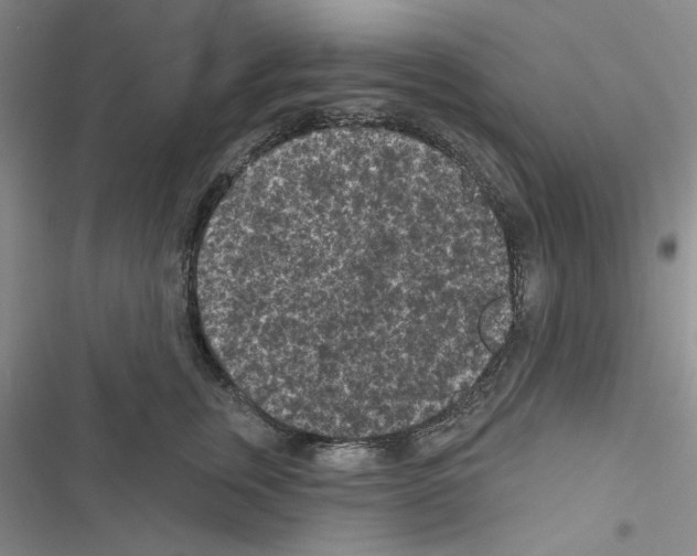 X0000116610759201001221319