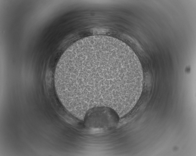 X0000116610761201001221319