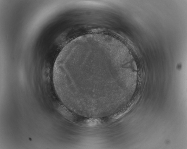 X0000116610762201001221319