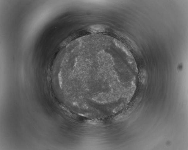 X0000116610763201001221319