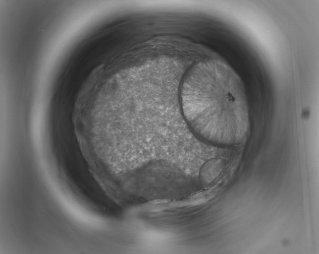 X0000116610765201001221319