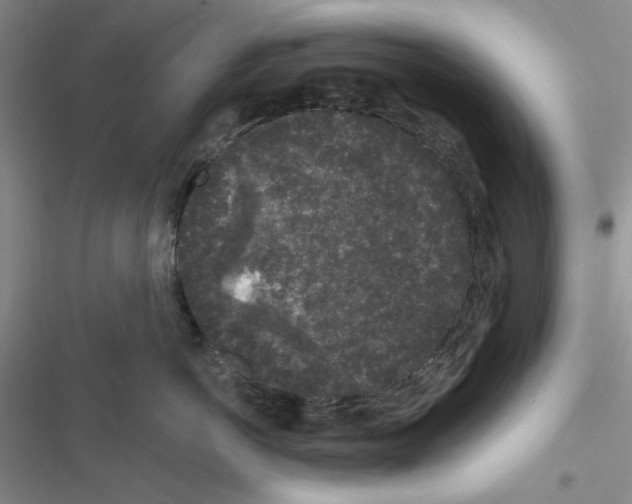 X0000116610766201001221319