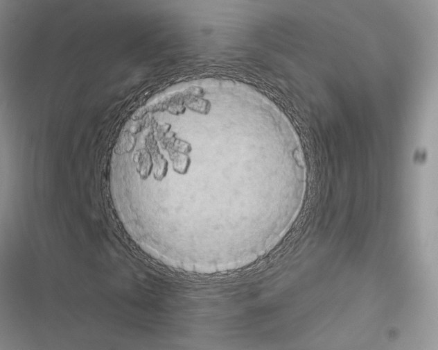 X0000116610769201001221318