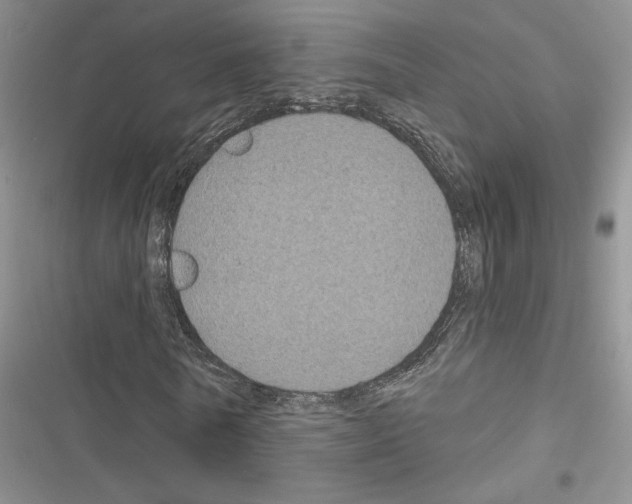 X0000116610770201001221318