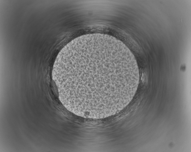 X0000116610771201001221318