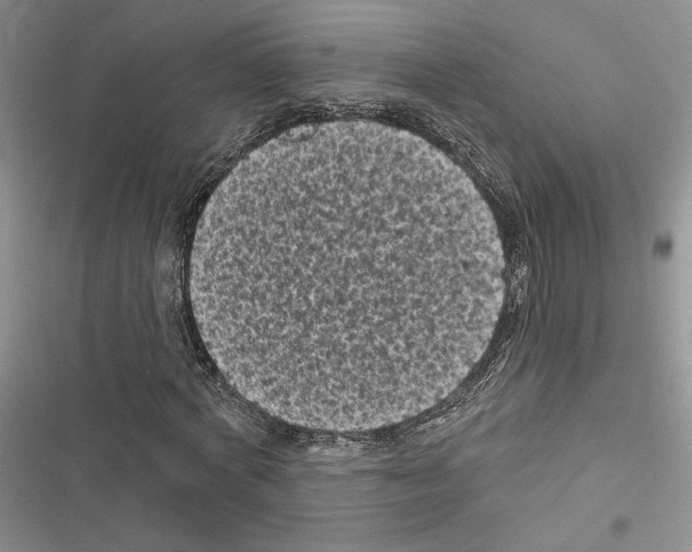 X0000116610772201001221318