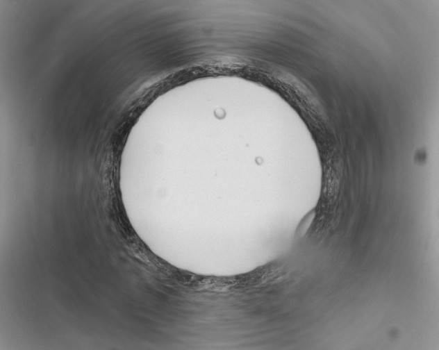 X0000116610773201001221318