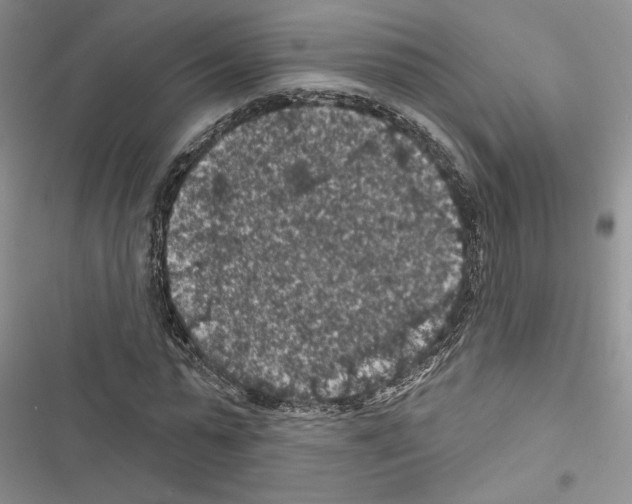 X0000116610775201001221318