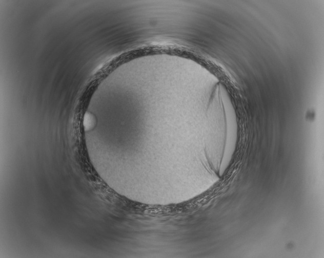 X0000116610776201001221318