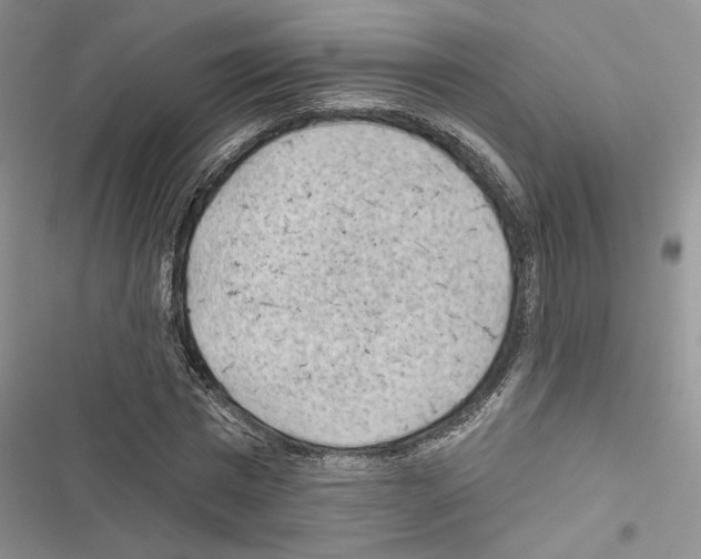 X0000116610777201001221318