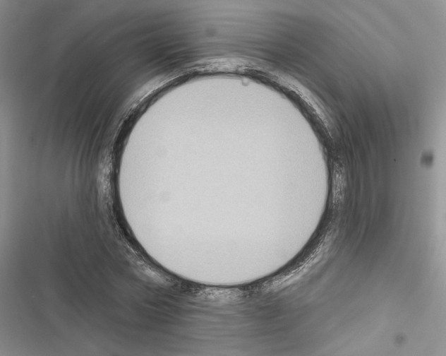 X0000116610778201001221318