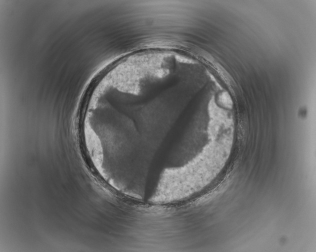 X0000116610779201001221318