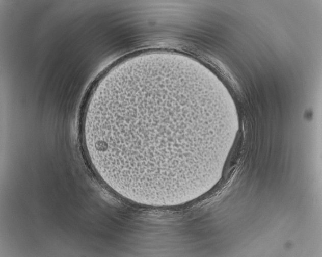 X0000116610780201001221318