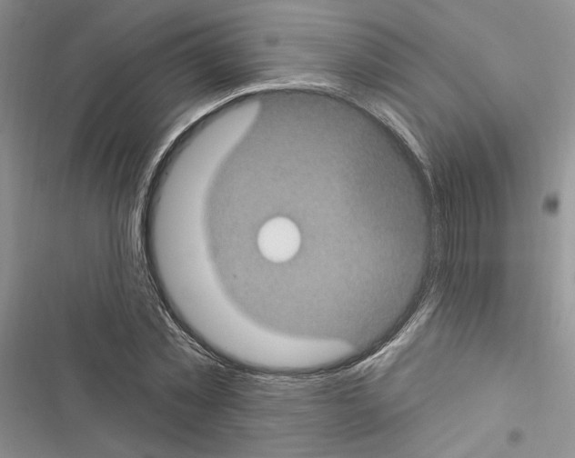 X0000116610781201001221318