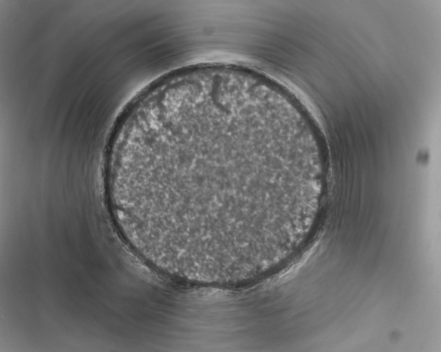 X0000116610783201001221318