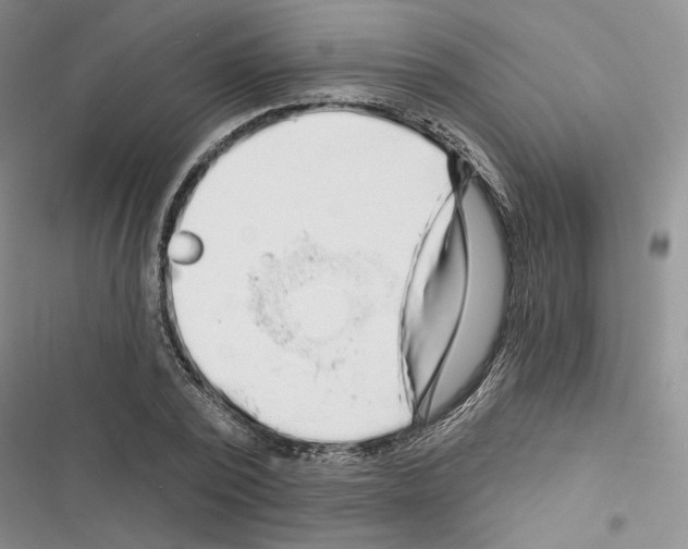 X0000116610784201001221318