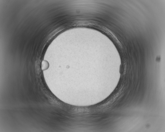 X0000116610786201001221318