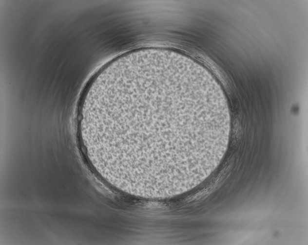 X0000116610787201001221318