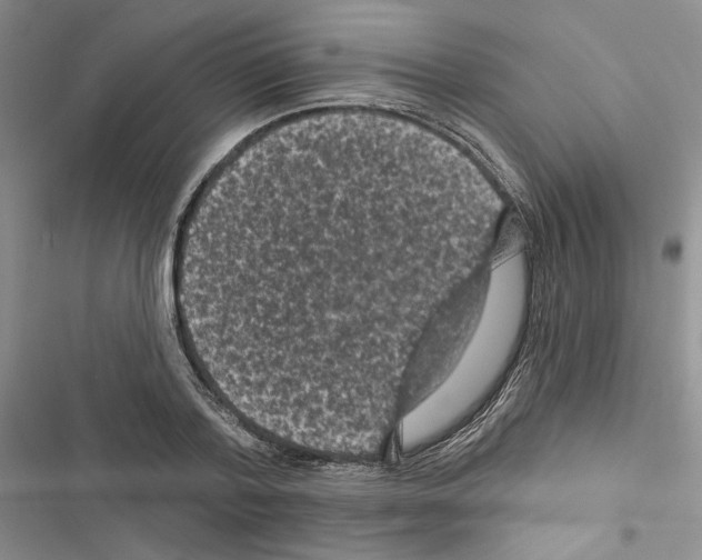 X0000116610788201001221318