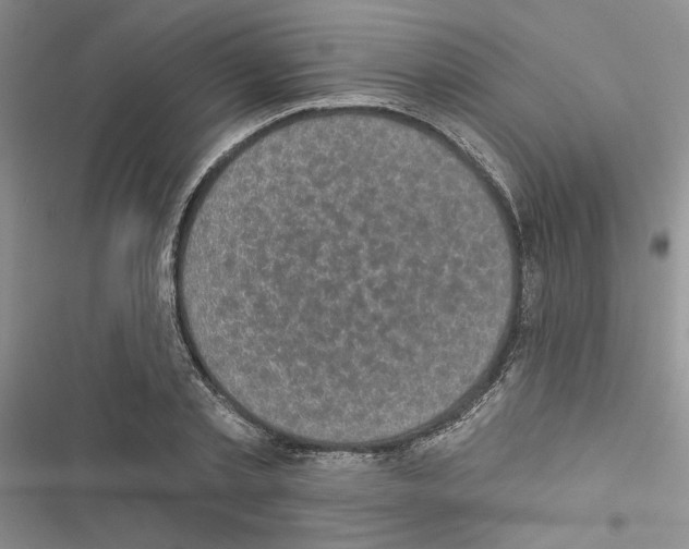 X0000116610789201001221318