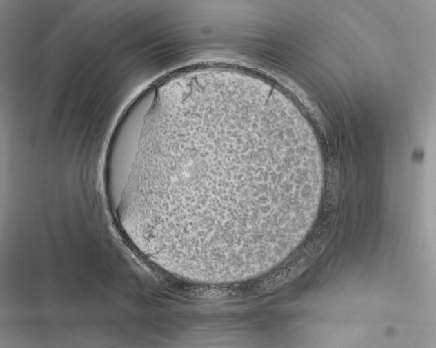 X0000116610791201001221318