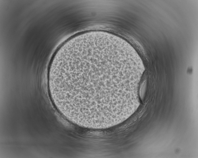 X0000116610792201001221318