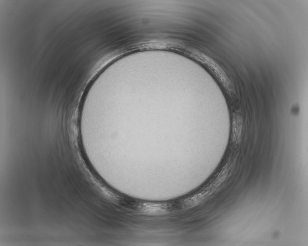 X0000116610794201001221318