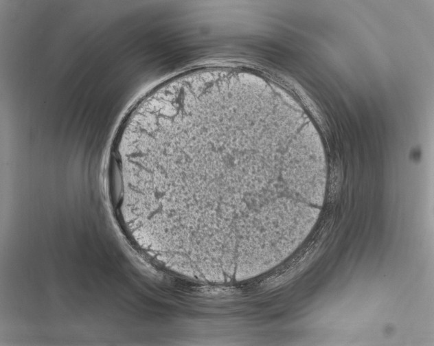 X0000116610795201001221318