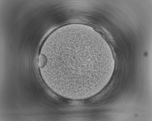 X0000116610796201001221318