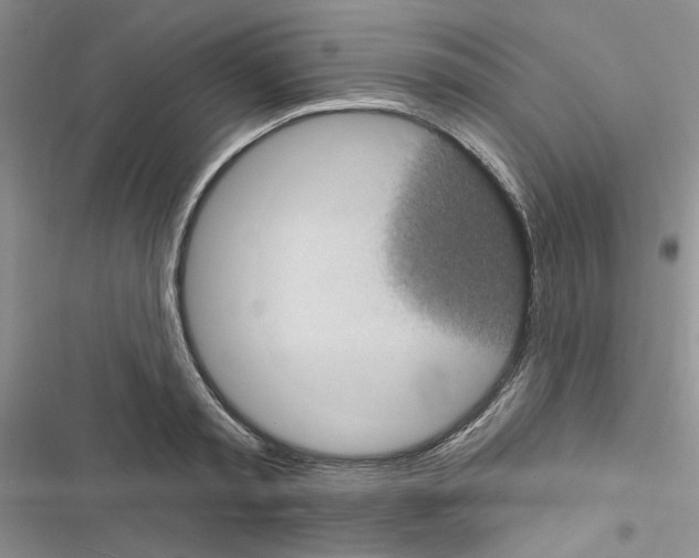 X0000116610797201001221318