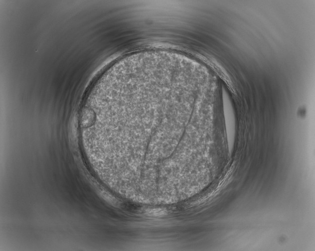 X0000116610798201001221318