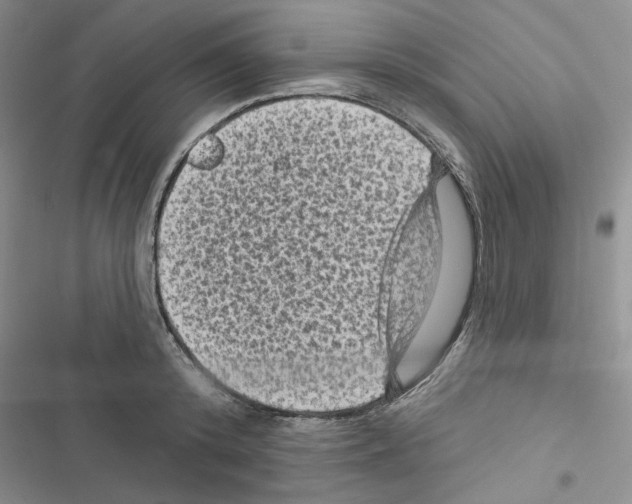 X0000116610800201001221318