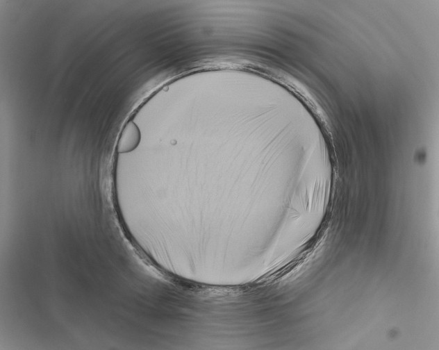 X0000116610802201001221318