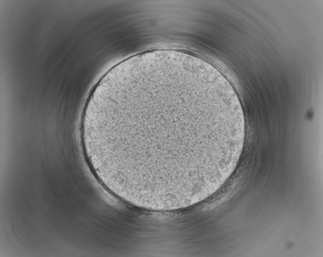 X0000116610803201001221318