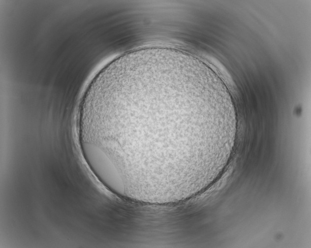 X0000116610804201001221318