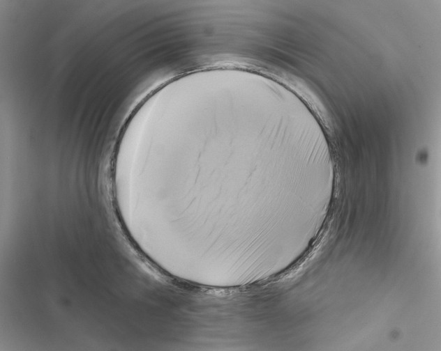 X0000116610806201001221317