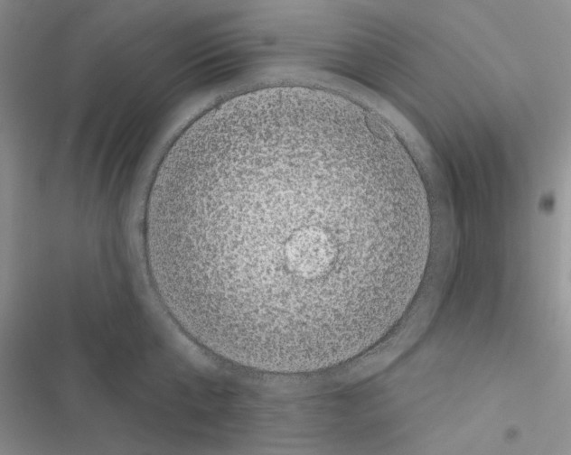 X0000116610807201001221317