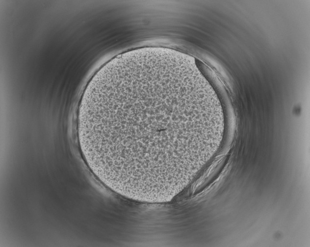 X0000116610808201001221317