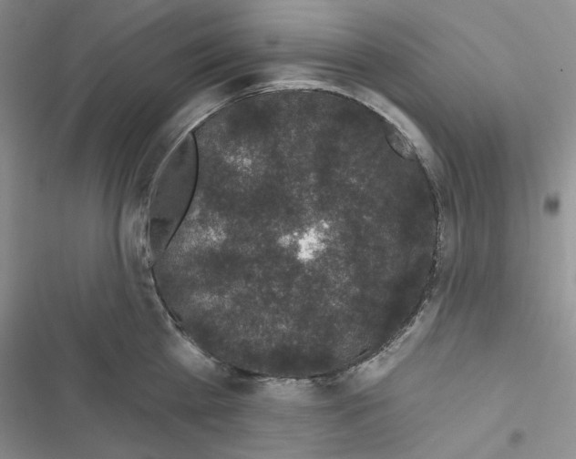 X0000116610809201001221317