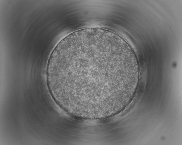 X0000116610810201001221317