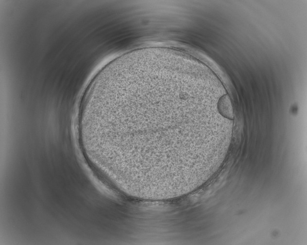 X0000116610811201001221317