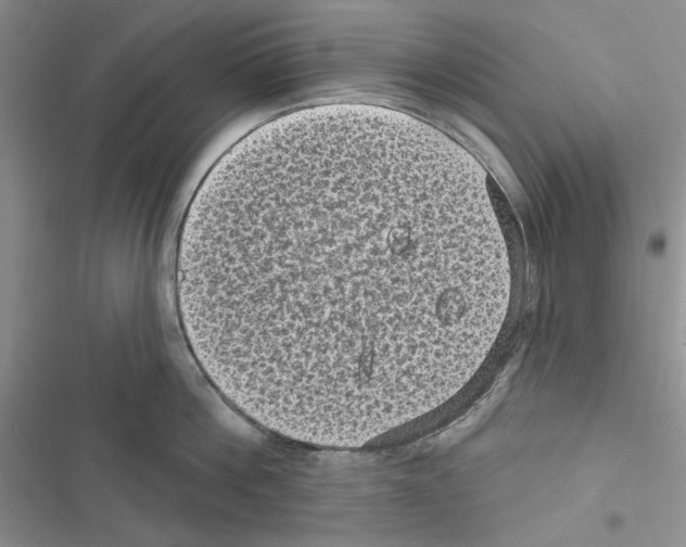 X0000116610812201001221317