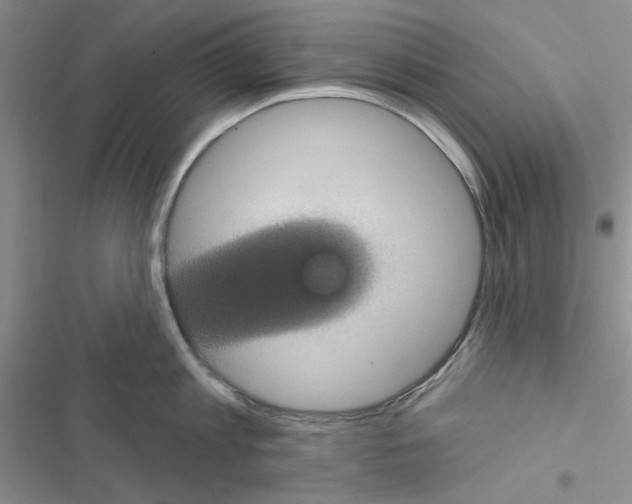 X0000116610813201001221317