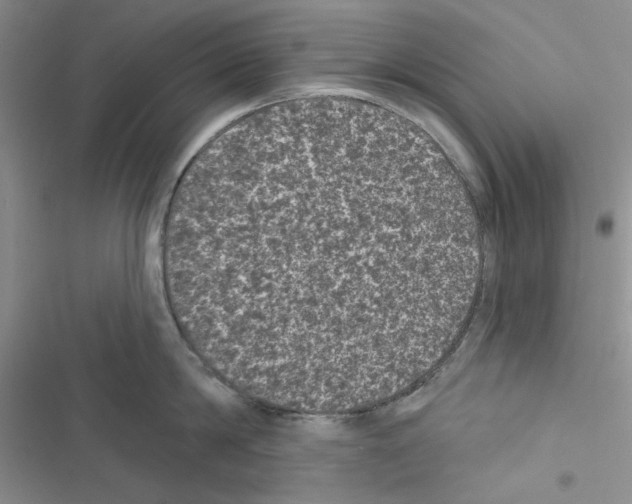 X0000116610814201001221317