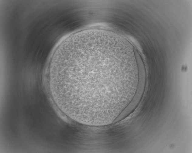 X0000116610816201001221317