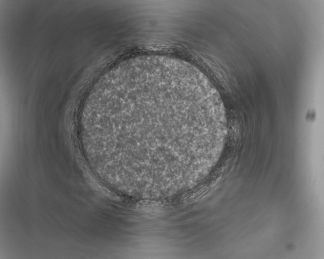 X0000116610817201001221317