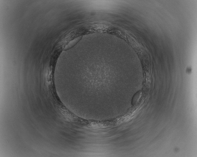 X0000116610818201001221317