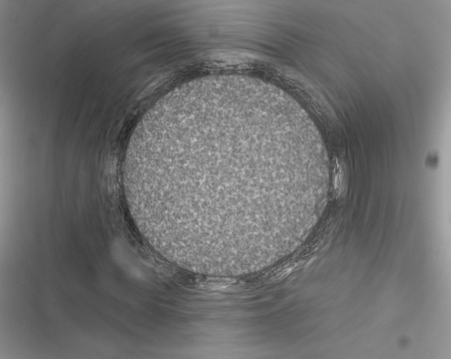 X0000116610819201001221317