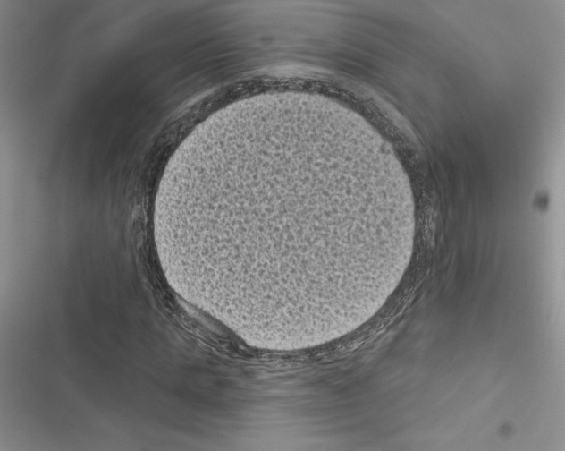 X0000116610821201001221317