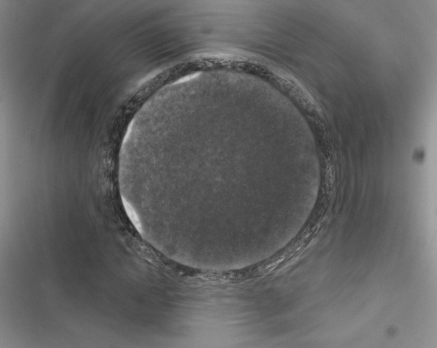 X0000116610822201001221317